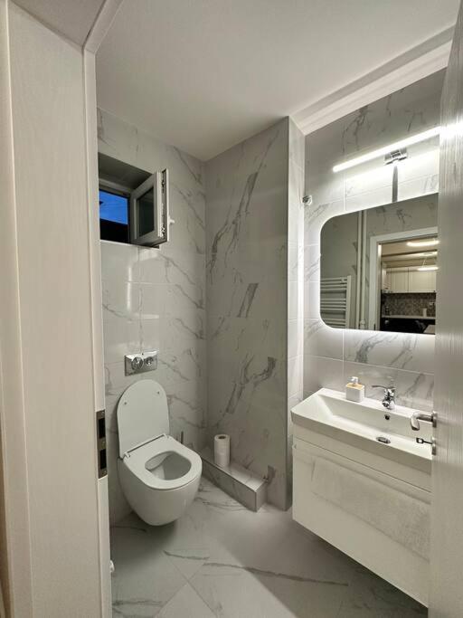 Ultracentral Luxury Apartament Timişoara Extérieur photo