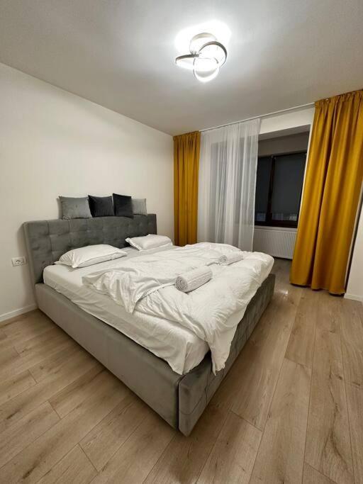 Ultracentral Luxury Apartament Timişoara Extérieur photo